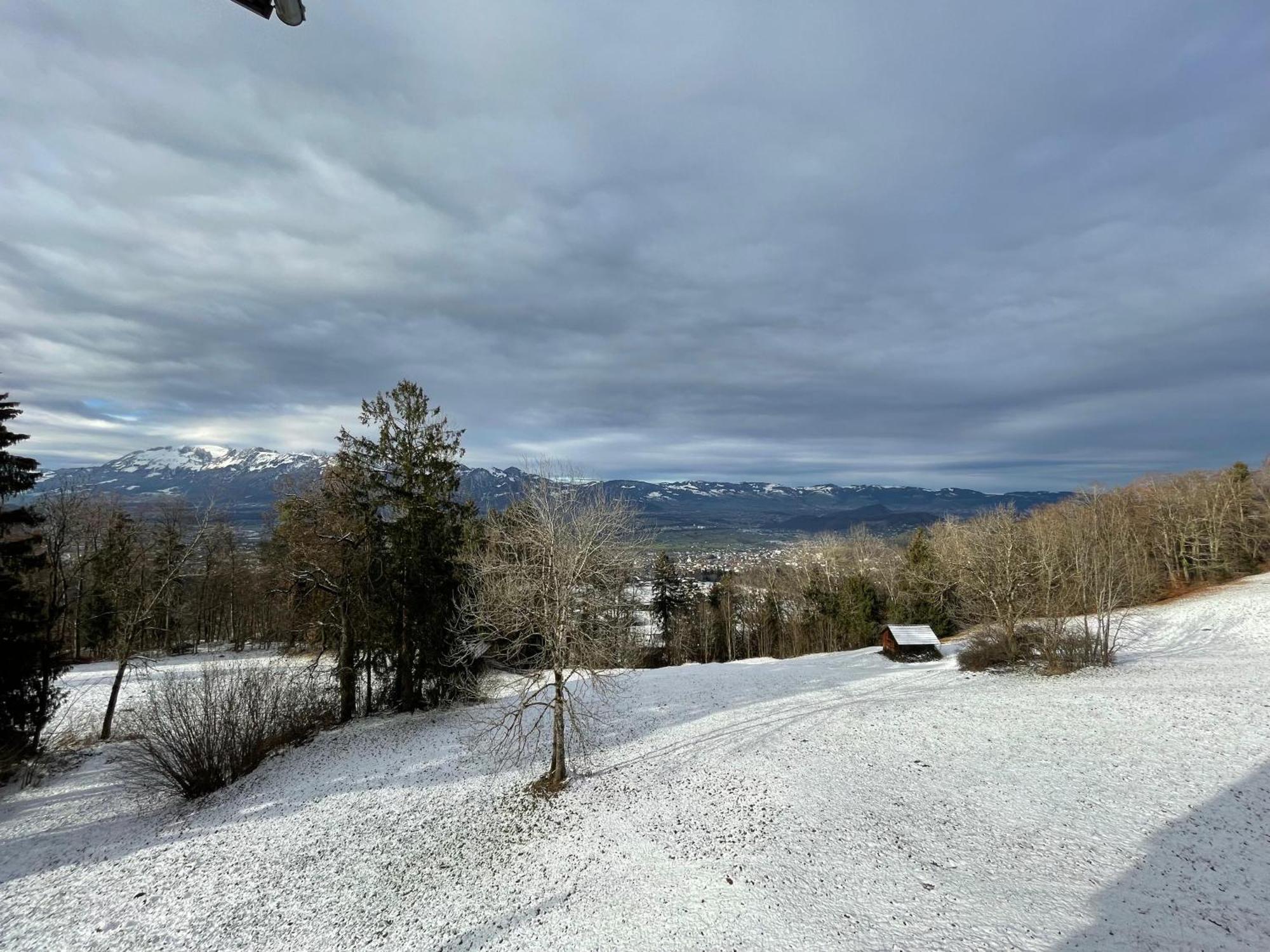 Gemuetliche Wohnung Mit Talblick Batschuns Exterior foto